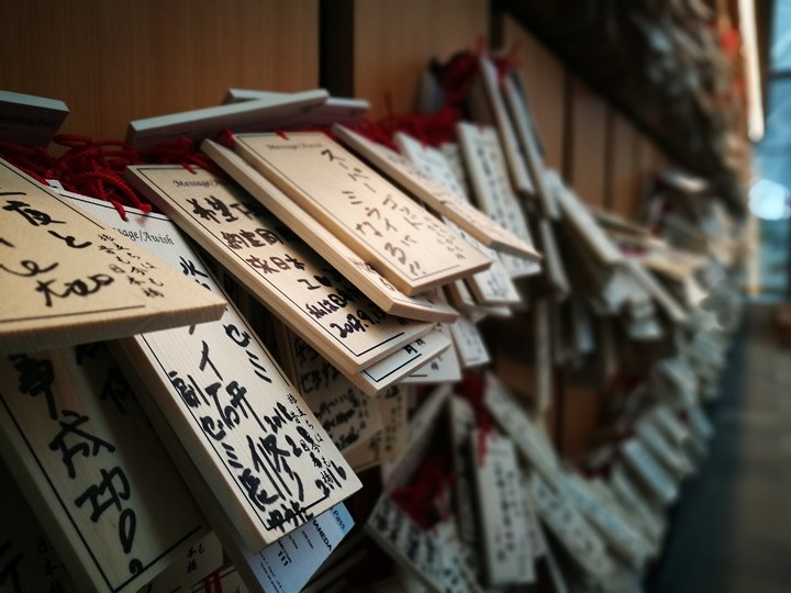 flyhaneda07 201804松山羽田 與櫻島初相見