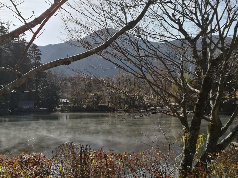 kinrinko05 Yufuin-金鱗湖 由布院第一美景 飄渺夢幻的小池塘