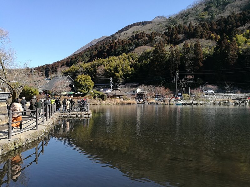 kinrinko10 Yufuin-金鱗湖 由布院第一美景 飄渺夢幻的小池塘