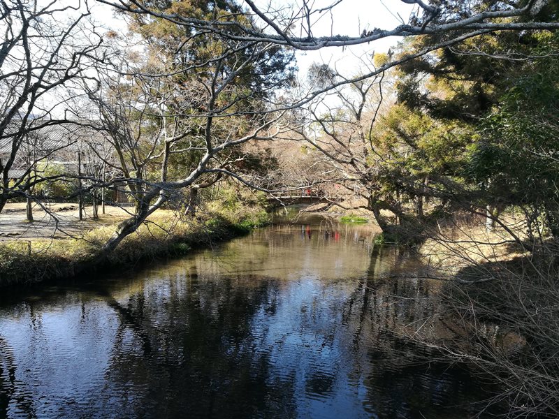 kinrinko11 Yufuin-金鱗湖 由布院第一美景 飄渺夢幻的小池塘