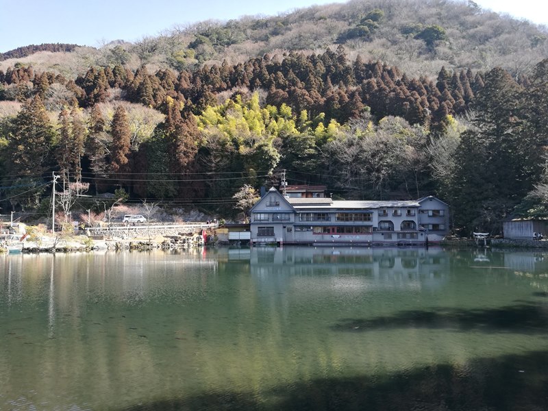 kinrinko12 Yufuin-金鱗湖 由布院第一美景 飄渺夢幻的小池塘