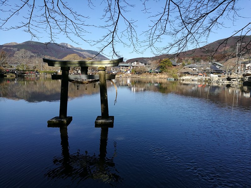 kinrinko18 Yufuin-金鱗湖 由布院第一美景 飄渺夢幻的小池塘