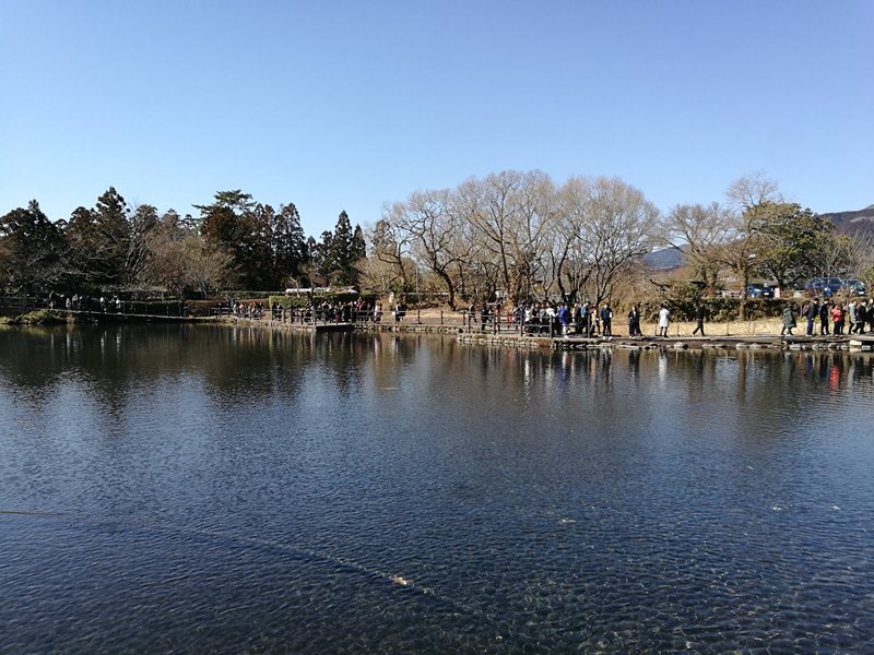 kinrinko23 Yufuin-金鱗湖 由布院第一美景 飄渺夢幻的小池塘