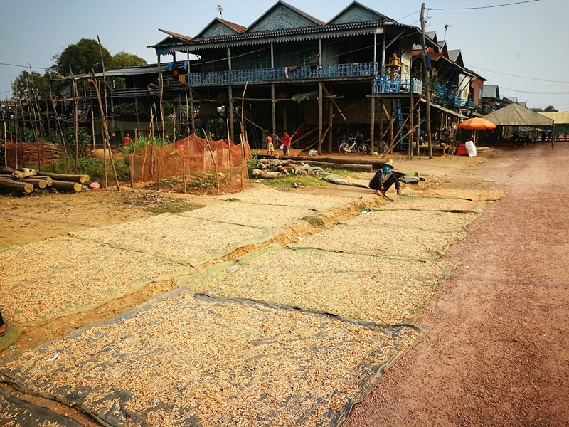 tonlesap20 Siem Reap-Tonle Sap洞里薩湖 柬埔寨的魚米鄉 落後環境中的知足生活