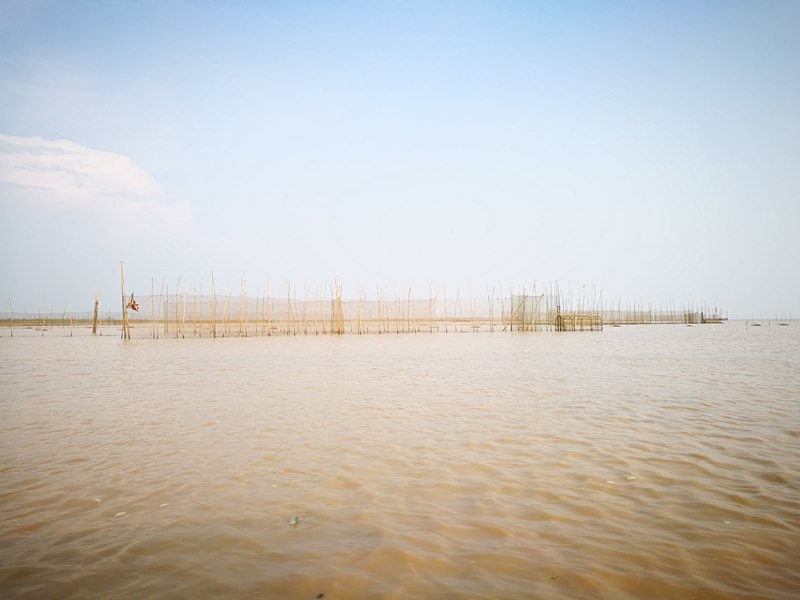 tonlesap26 Siem Reap-Tonle Sap洞里薩湖 柬埔寨的魚米鄉 落後環境中的知足生活