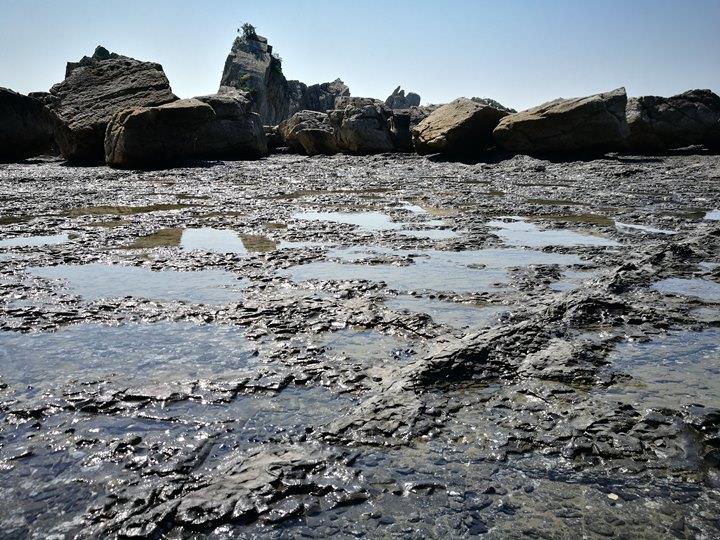 Hashiguiiwa0113-1 Kushimoto-橋杭岩 和歌山串本地質奇景