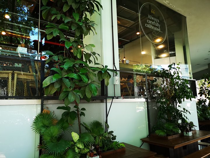 commonman0102 Singapore-Common Man Coffee Roasters盛夏咖啡 滿是綠意的國度滿是綠意的咖啡館