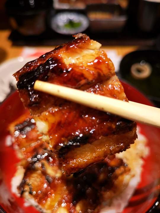 manman10 Singapore-鰻滿 鰻魚飯 新加坡也有日式道地鰻魚飯 米其林推薦排隊名店