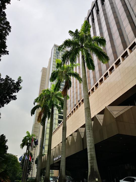Singapore-Sheraton Tower商務飯店交通方便