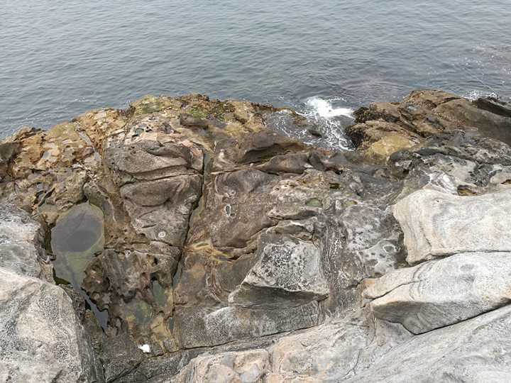 shirahamageopark13 Shirahama-和歌山白濱地質公園 千疊敷與三段壁