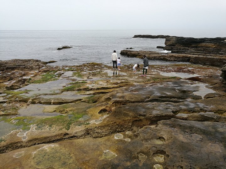 shirahamageopark15 Shirahama-和歌山白濱地質公園 千疊敷與三段壁