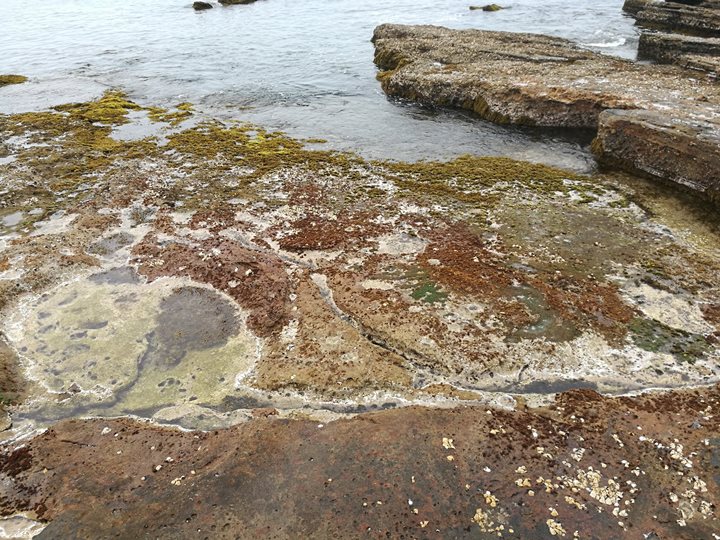 shirahamageopark17 Shirahama-和歌山白濱地質公園 千疊敷與三段壁