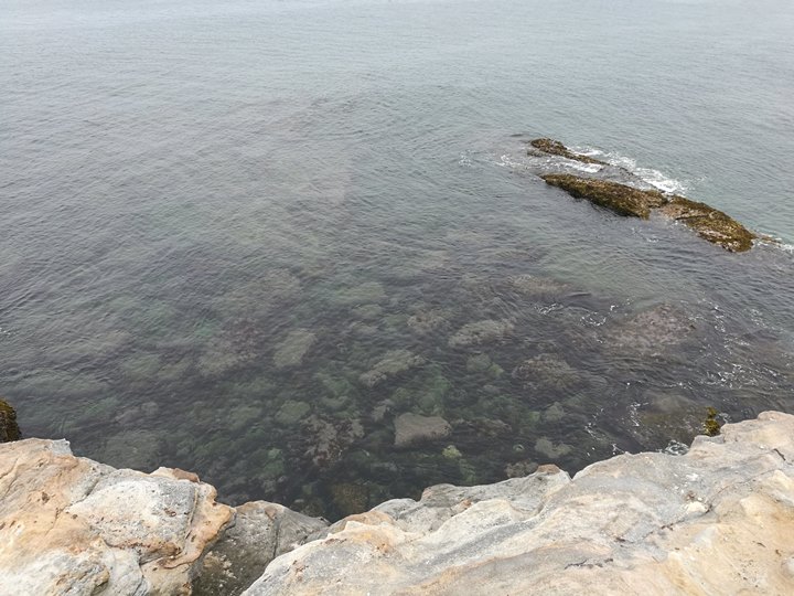 shirahamageopark32 Shirahama-和歌山白濱地質公園 千疊敷與三段壁