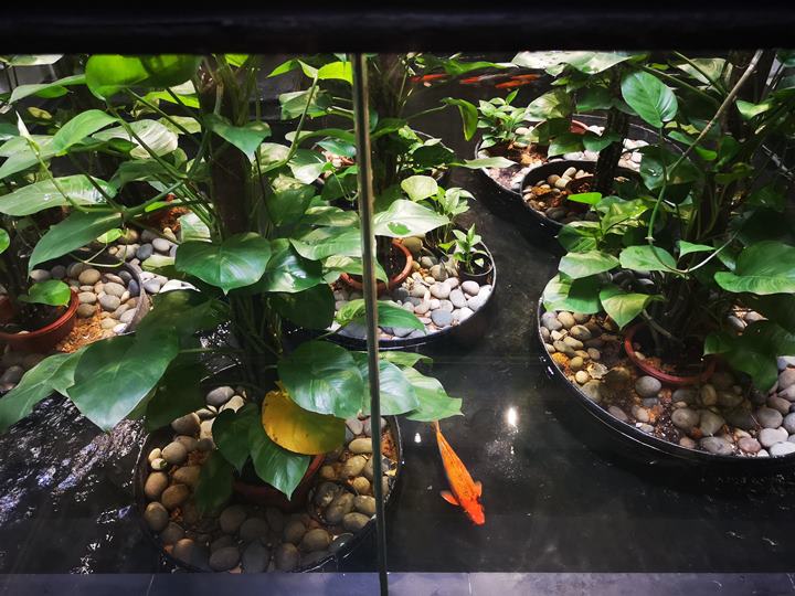 wanderlust19 Singapore-Wanderlust Hotel-SPG設計飯店 CP值偏低