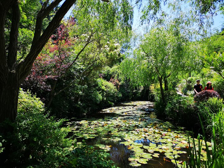 chichu05 Naoshima-地中美術館 藝術直島 安藤忠雄大作 建築美展覽有深度