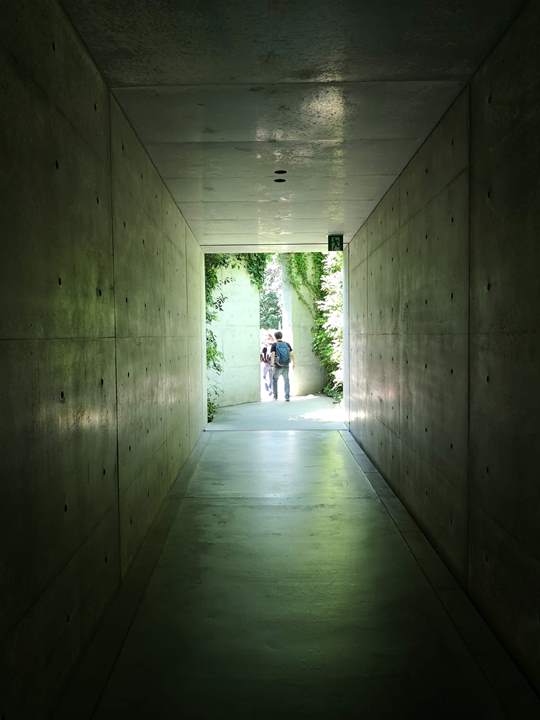 chichu12 Naoshima-地中美術館 藝術直島 安藤忠雄大作 建築美展覽有深度