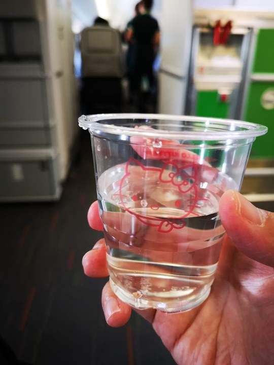 flysinsin14 201805台北新加坡Kitty伴我飛