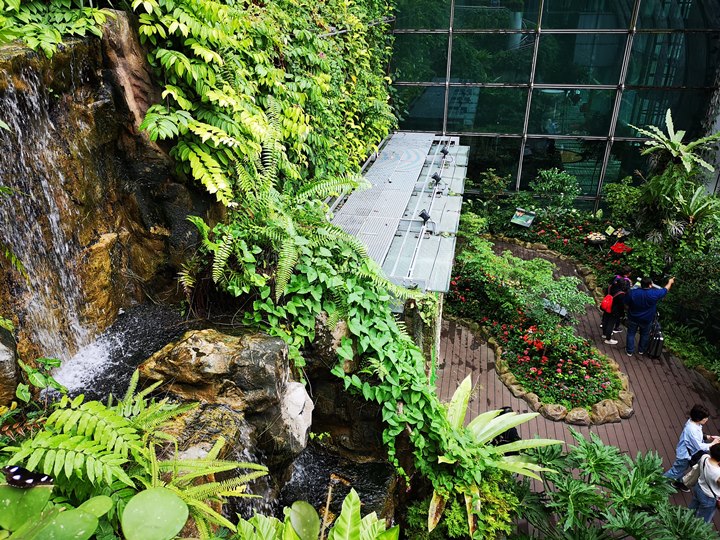 flysinsin22 201805台北新加坡Kitty伴我飛