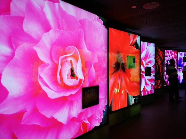 gardens-by-the-bay06 Singapore-Gardens by the Bay之Flower Dome/Cloud Forest新加坡的巨大溫室...盛夏最好的去處