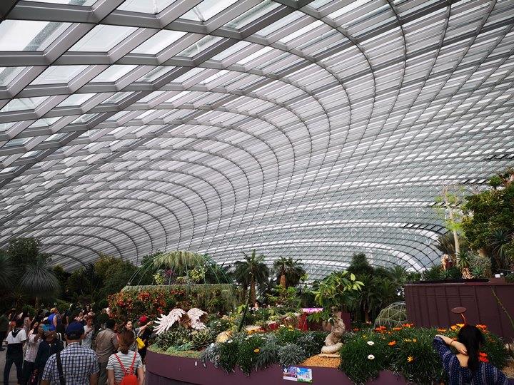 gardens-by-the-bay07 Singapore-Gardens by the Bay之Flower Dome/Cloud Forest新加坡的巨大溫室...盛夏最好的去處