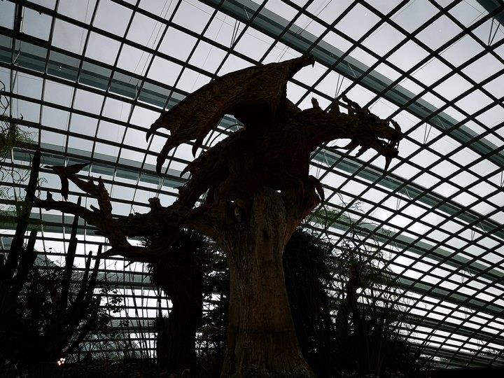 gardens-by-the-bay17 Singapore-Gardens by the Bay之Flower Dome/Cloud Forest新加坡的巨大溫室...盛夏最好的去處