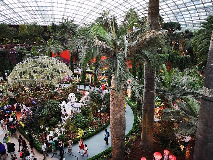 gardens-by-the-bay18 Singapore-Gardens by the Bay之Flower Dome/Cloud Forest新加坡的巨大溫室...盛夏最好的去處