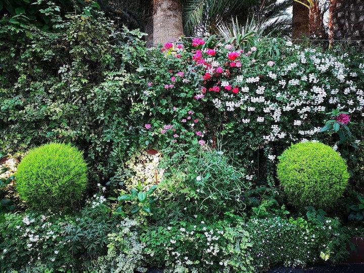 gardens-by-the-bay19 Singapore-Gardens by the Bay之Flower Dome/Cloud Forest新加坡的巨大溫室...盛夏最好的去處