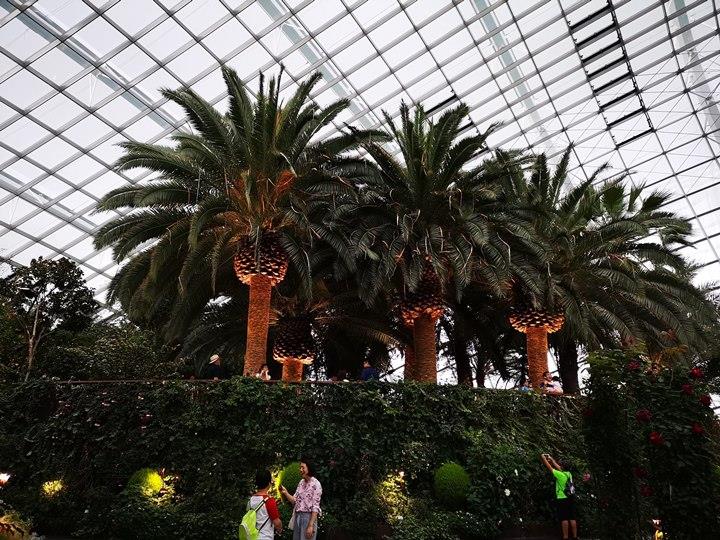 gardens-by-the-bay20 Singapore-Gardens by the Bay之Flower Dome/Cloud Forest新加坡的巨大溫室...盛夏最好的去處