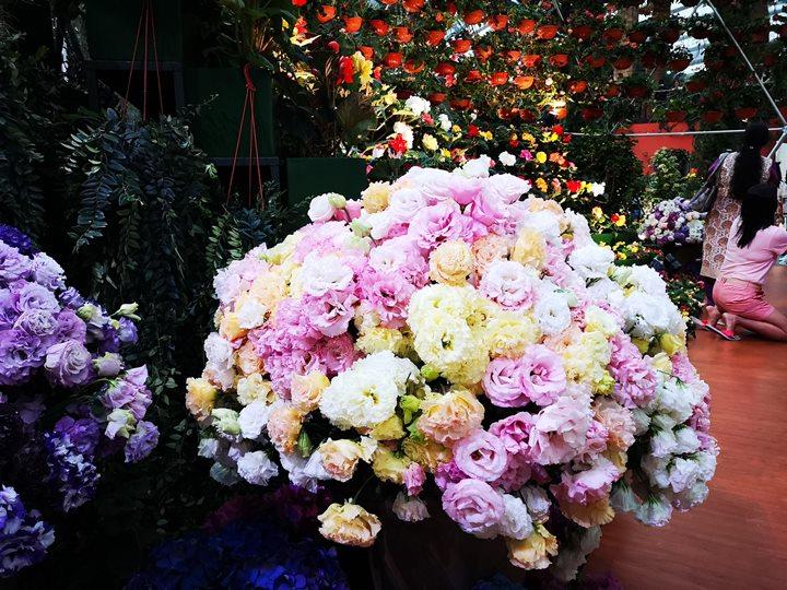 gardens-by-the-bay25 Singapore-Gardens by the Bay之Flower Dome/Cloud Forest新加坡的巨大溫室...盛夏最好的去處