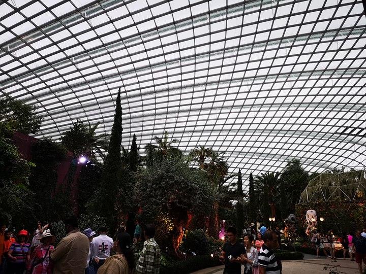 gardens-by-the-bay28 Singapore-Gardens by the Bay之Flower Dome/Cloud Forest新加坡的巨大溫室...盛夏最好的去處