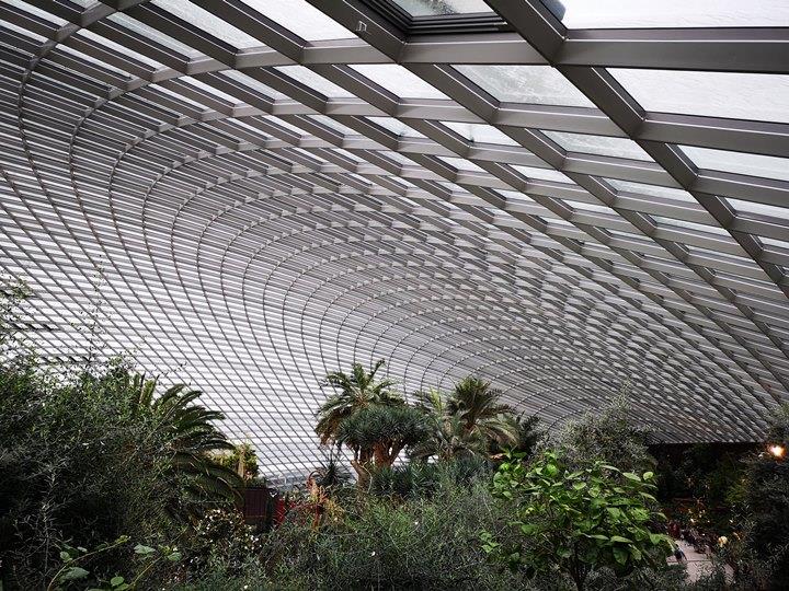 gardens-by-the-bay29 Singapore-Gardens by the Bay之Flower Dome/Cloud Forest新加坡的巨大溫室...盛夏最好的去處