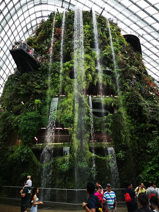 gardens-by-the-bay32 Singapore-Gardens by the Bay之Flower Dome/Cloud Forest新加坡的巨大溫室...盛夏最好的去處