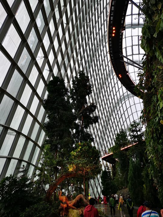 gardens-by-the-bay33 Singapore-Gardens by the Bay之Flower Dome/Cloud Forest新加坡的巨大溫室...盛夏最好的去處