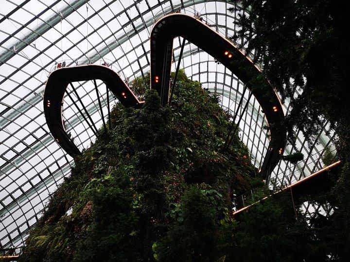 gardens-by-the-bay35 Singapore-Gardens by the Bay之Flower Dome/Cloud Forest新加坡的巨大溫室...盛夏最好的去處