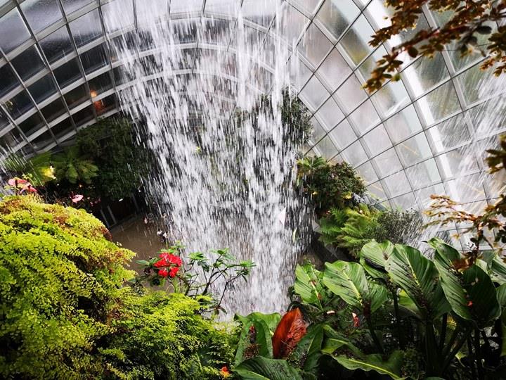 gardens-by-the-bay38 Singapore-Gardens by the Bay之Flower Dome/Cloud Forest新加坡的巨大溫室...盛夏最好的去處