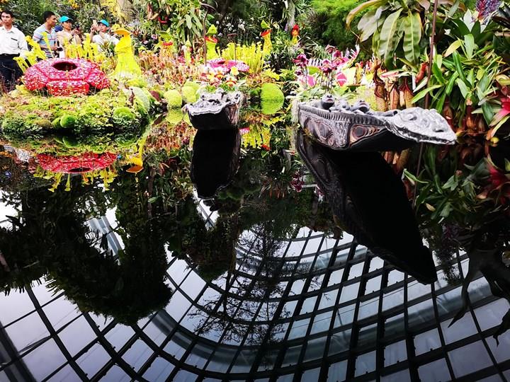 gardens-by-the-bay39 Singapore-Gardens by the Bay之Flower Dome/Cloud Forest新加坡的巨大溫室...盛夏最好的去處