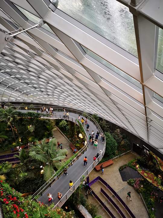 gardens-by-the-bay42 Singapore-Gardens by the Bay之Flower Dome/Cloud Forest新加坡的巨大溫室...盛夏最好的去處