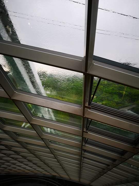 gardens-by-the-bay43 Singapore-Gardens by the Bay之Flower Dome/Cloud Forest新加坡的巨大溫室...盛夏最好的去處