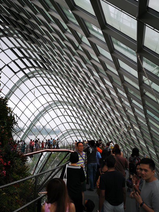 gardens-by-the-bay44 Singapore-Gardens by the Bay之Flower Dome/Cloud Forest新加坡的巨大溫室...盛夏最好的去處