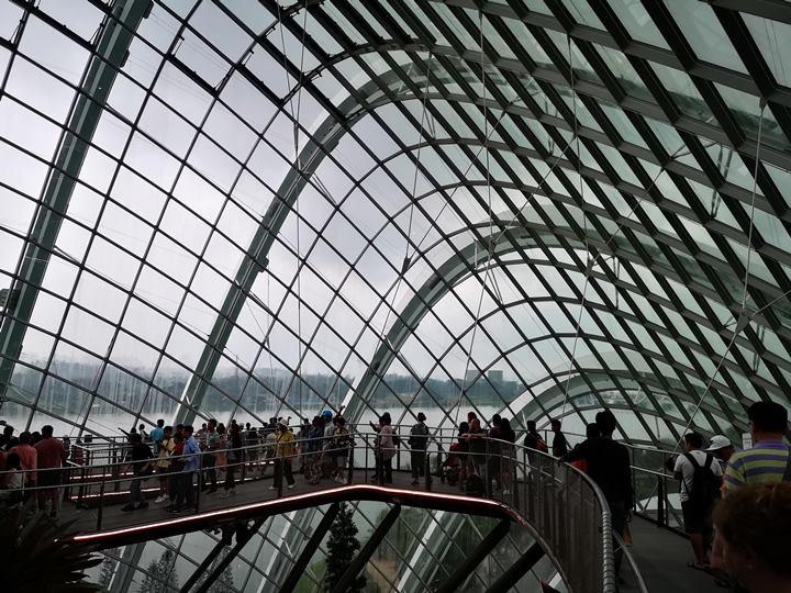 gardens-by-the-bay45 Singapore-Gardens by the Bay之Flower Dome/Cloud Forest新加坡的巨大溫室...盛夏最好的去處