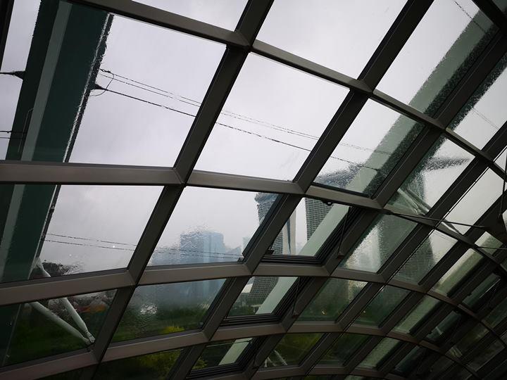 gardens-by-the-bay46 Singapore-Gardens by the Bay之Flower Dome/Cloud Forest新加坡的巨大溫室...盛夏最好的去處