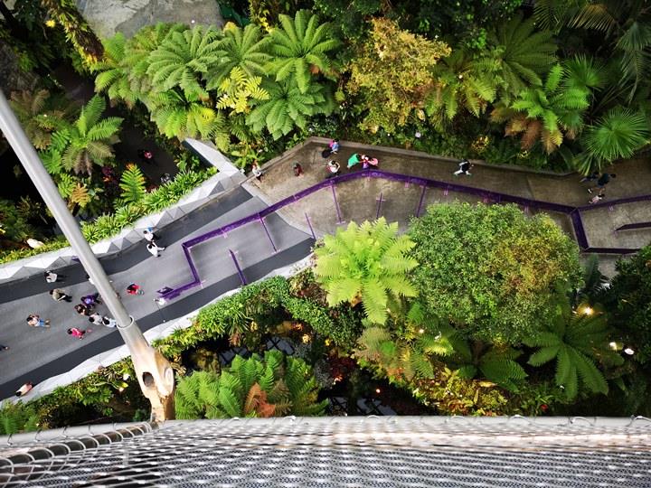 gardens-by-the-bay47 Singapore-Gardens by the Bay之Flower Dome/Cloud Forest新加坡的巨大溫室...盛夏最好的去處