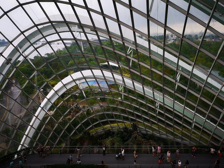 gardens-by-the-bay48 Singapore-Gardens by the Bay之Flower Dome/Cloud Forest新加坡的巨大溫室...盛夏最好的去處