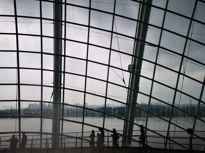 gardens-by-the-bay49 Singapore-Gardens by the Bay之Flower Dome/Cloud Forest新加坡的巨大溫室...盛夏最好的去處