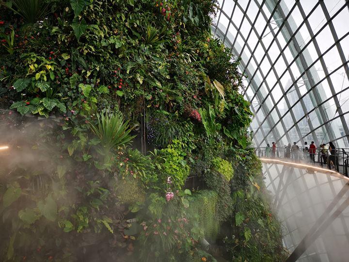 gardens-by-the-bay50 Singapore-Gardens by the Bay之Flower Dome/Cloud Forest新加坡的巨大溫室...盛夏最好的去處