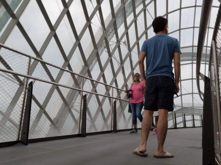 gardens-by-the-bay51 Singapore-Gardens by the Bay之Flower Dome/Cloud Forest新加坡的巨大溫室...盛夏最好的去處