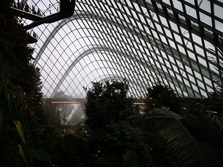 gardens-by-the-bay54 Singapore-Gardens by the Bay之Flower Dome/Cloud Forest新加坡的巨大溫室...盛夏最好的去處