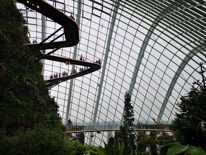 gardens-by-the-bay55 Singapore-Gardens by the Bay之Flower Dome/Cloud Forest新加坡的巨大溫室...盛夏最好的去處