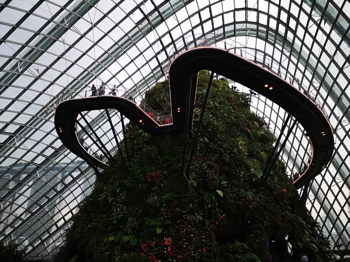 gardens-by-the-bay56 Singapore-Gardens by the Bay之Flower Dome/Cloud Forest新加坡的巨大溫室...盛夏最好的去處