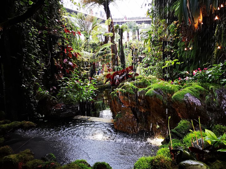 gardens-by-the-bay58 Singapore-Gardens by the Bay之Flower Dome/Cloud Forest新加坡的巨大溫室...盛夏最好的去處